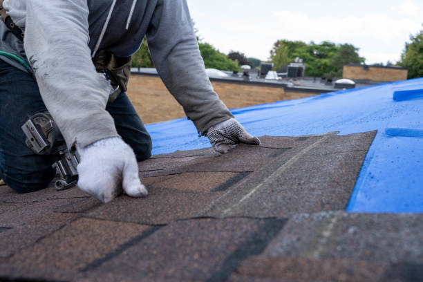 Best Gutter Installation and Roofing  in Tullahoma, TN
